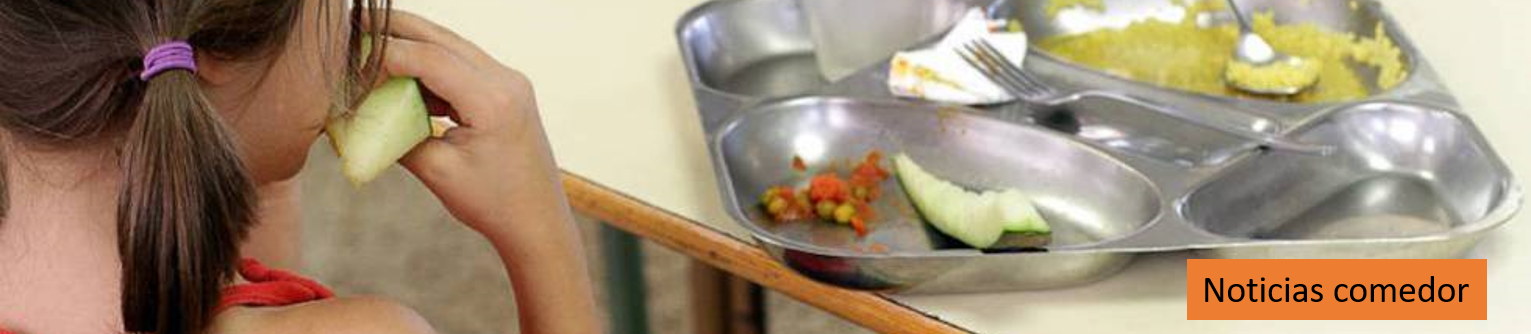 En este momento estás viendo Circular informativa comedor